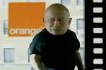 Orange - Verne Troyer - Mini Me